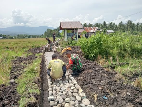 Babinsa dan Kelompok Tani Bersinergi Dorong Ketahanan Pangan