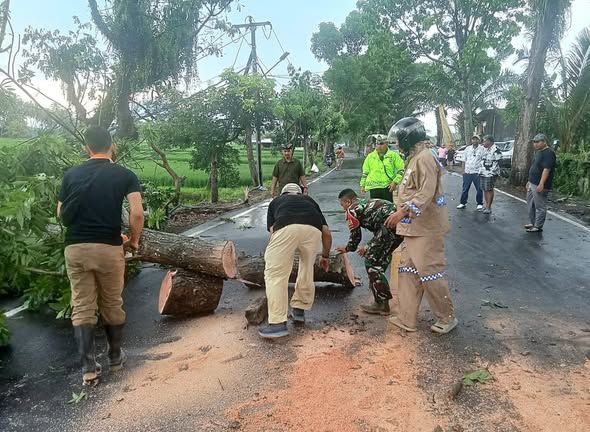 Babinsa Sembung Bersama Warga Sigap Evakuasi Pohon Tumbang yang Timpa Car Wash di Badung