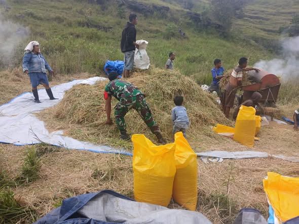Babinsa Rindi Umalulu Laksanakan Pendampingan Ketahanan Pangan Warga di Praibokul