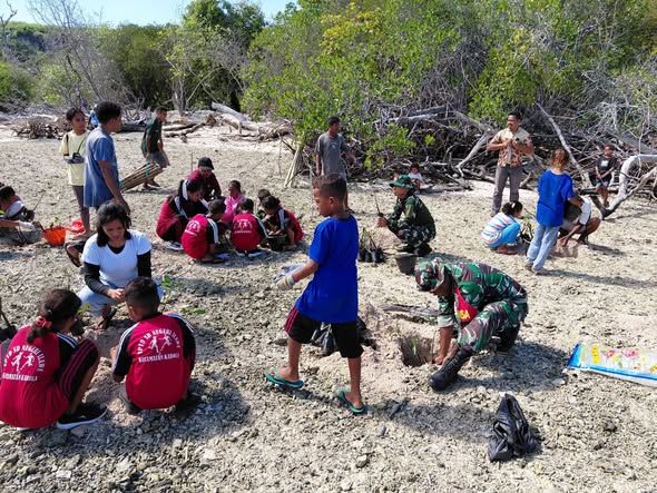 Karya Bakti TNI dan Stakeholder, 950 Mangrove Ditanam di Pesisir Pante Deere