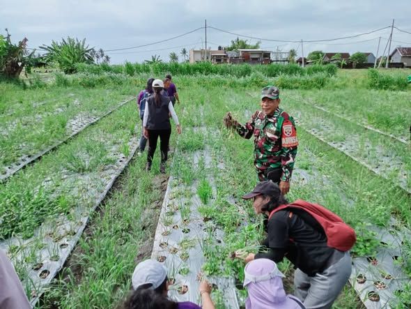 Babinsa Medahan Bersama Petani Subak Parejurit Perkuat Ketahanan Pangan Gianyar