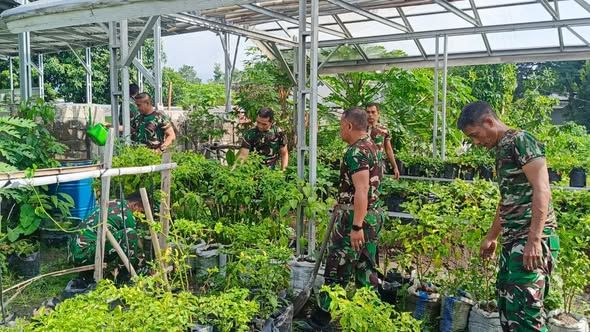 Danramil Aikmel Pimpin Bercocok Tanam di Lahan Koramil, Dukung Program Ketahanan Pangan