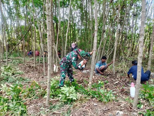 Babinsa Dan Masyarakat Desa Alila Selatan Gotong Royong Bersihkan Lahan untuk Pertanian