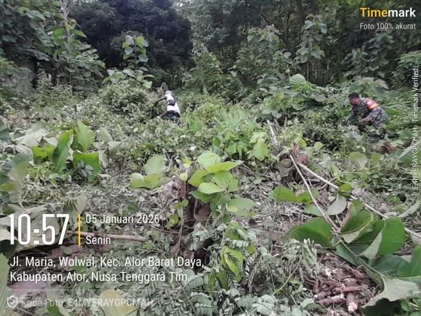 Babinsa dan Masyarakat Wolwal Kompak Bersihkan Area KDKMP 