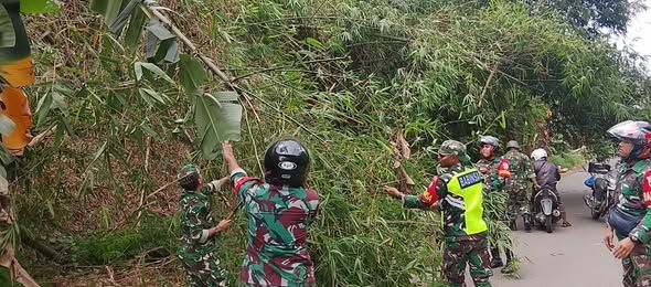 Babinsa Wulanggitang Patroli di Tengah Cuaca Ekstrem, Sigap Evakuasi Pohon Tumbang