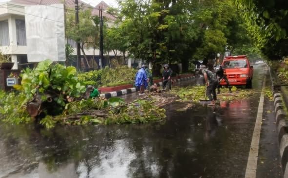 Babinsa dan Warga Sigap Bersihkan Pohon Tumbang