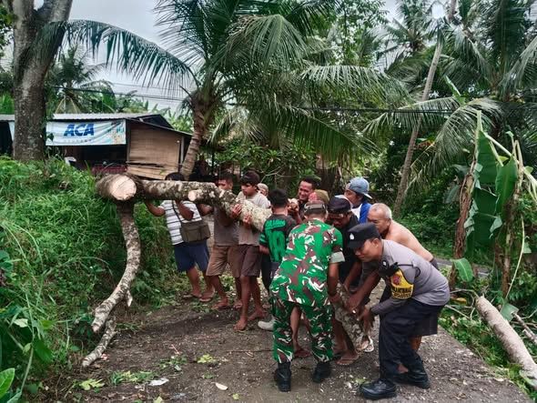 Babinsa Bersama Unsur Terkait Gotong Royong Tangani Pohon Tumbang di Lingkungan Teges