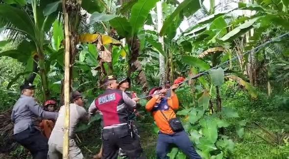 Sinergi Tangani Bencana, TNI Polri Bersama BPBD Tangani Pohon Kelapa Tumbang