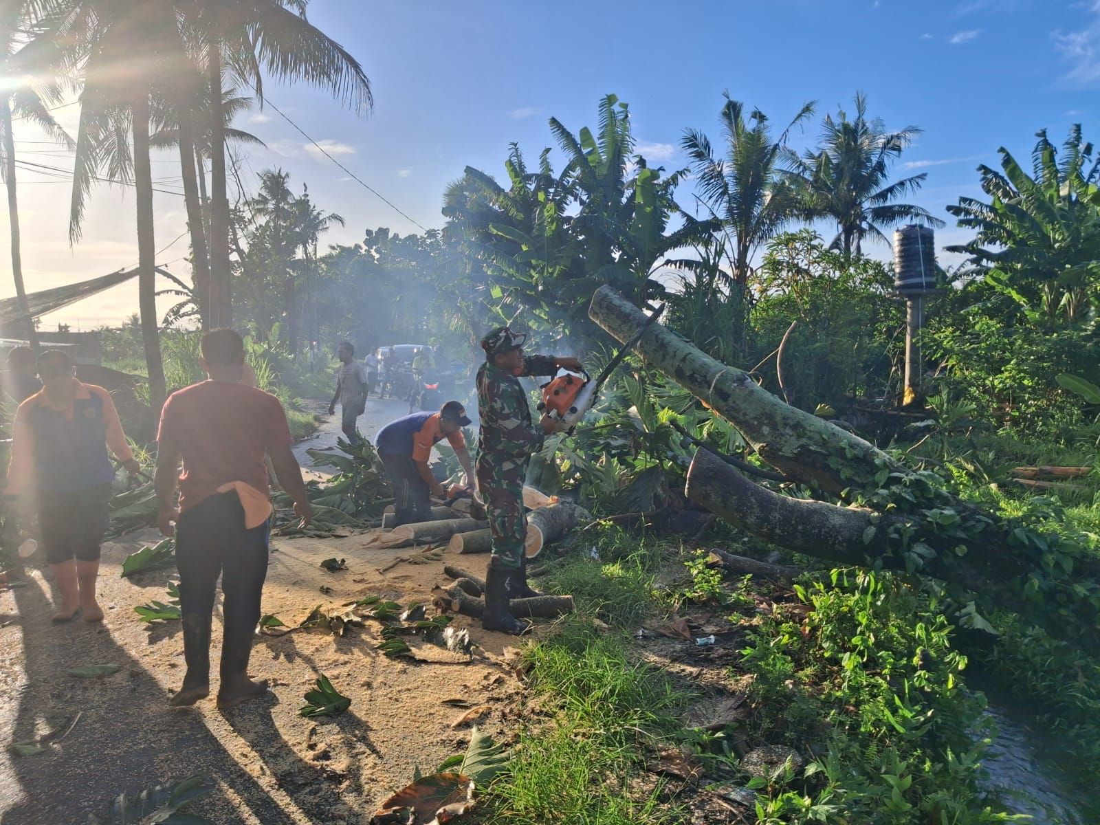 Gerak Cepat Babinsa dan BPBD Evakuasi Pohon Tumbang di Pering 