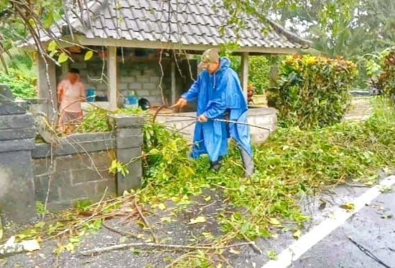 Respons Cepat Babinsa Babahan Bersama Warga Tangani Pohon Tumbang, Akses Jalan Kembali Normal