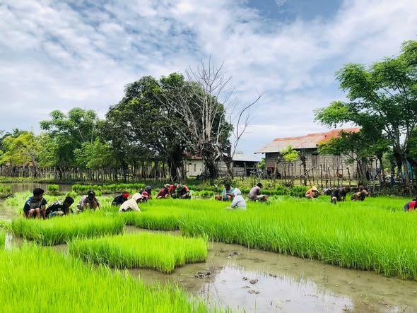 Kebersamaan TNI dan Rakyat, Babinsa Karera Gotong Royong Bersama Petani