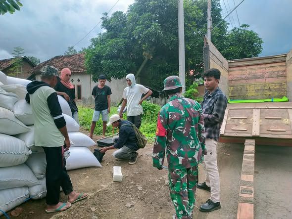 Babinsa Bontokape Dampingi Pembelian Gabah oleh Bulog Kabupaten Bima