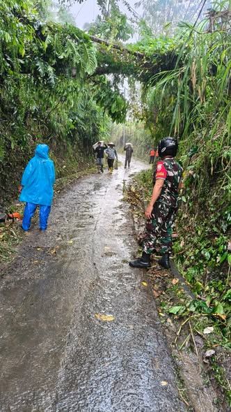 Respon Cepat Aparat Gabungan Tangani Pohon Tumbang di Desa Tihingan, Akses Jalan Kembali Lancar